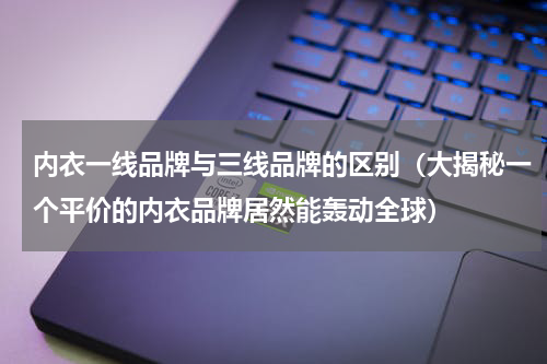内衣一线品牌与三线品牌的区别（大揭秘一个平价的内衣品牌居然能轰动全球）