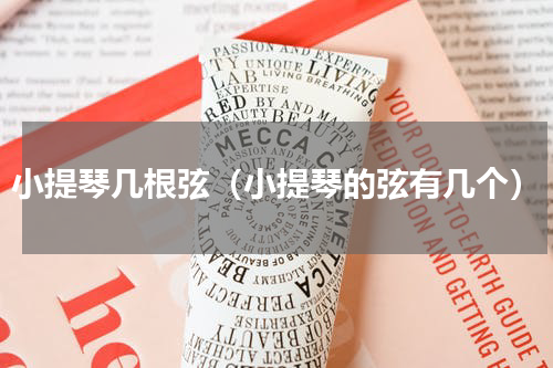 小提琴几根弦（小提琴的弦有几个）