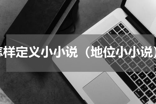 怎样定义小小说（地位小小说）