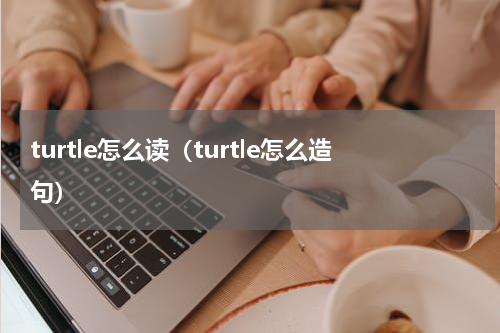 turtle怎么读（turtle怎么造句）