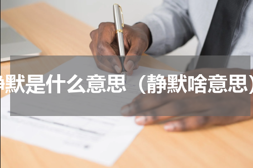 静默是什么意思（静默啥意思）