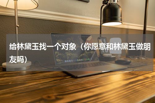 给林黛玉找一个对象（你愿意和林黛玉做朋友吗）