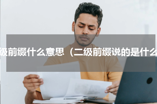 二级前缀什么意思（二级前缀说的是什么）