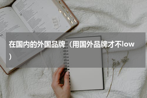 在国内的外国品牌（用国外品牌才不low）