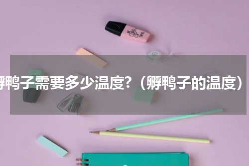 孵鸭子需要多少温度?（孵鸭子的温度）