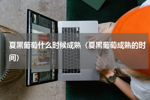 夏黑葡萄什么时候成熟（夏黑葡萄成熟的时间）