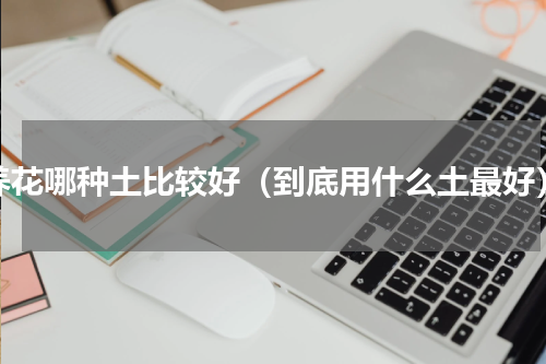 养花哪种土比较好（到底用什么土最好）