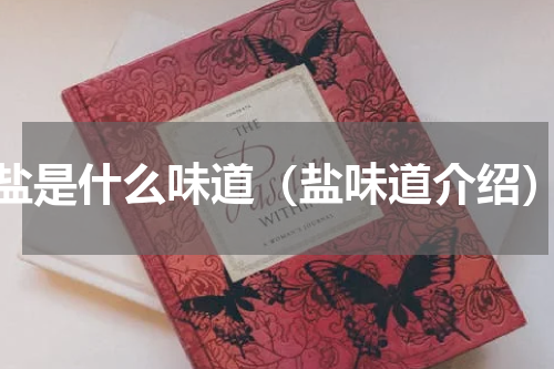 盐是什么味道（盐味道介绍）