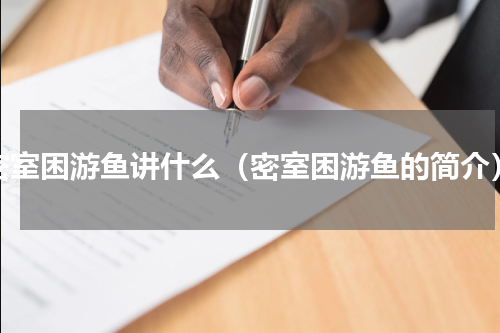 密室困游鱼讲什么（密室困游鱼的简介）