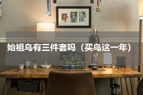 始祖鸟有三件套吗（买鸟这一年）