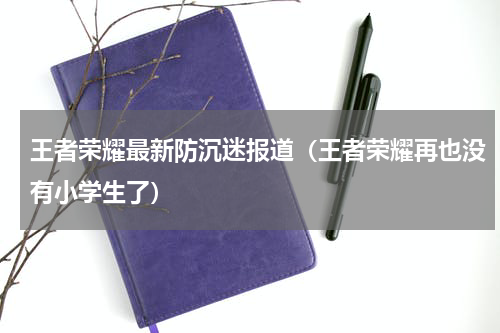王者荣耀最新防沉迷报道（王者荣耀再也没有小学生了）