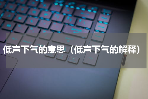 低声下气的意思（低声下气的解释）