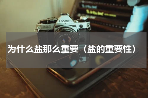 为什么盐那么重要（盐的重要性）