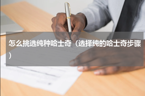 怎么挑选纯种哈士奇（选择纯的哈士奇步骤）