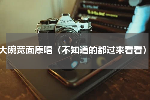 大碗宽面原唱（不知道的都过来看看）