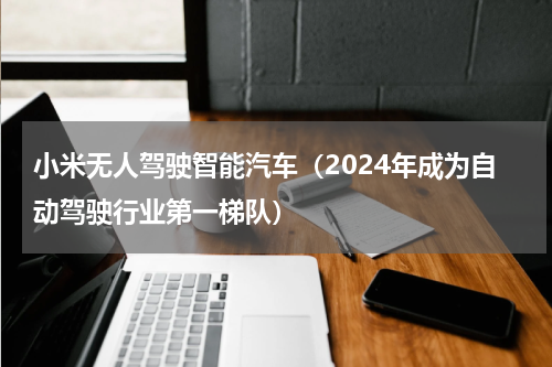 小米无人驾驶智能汽车（2024年成为自动驾驶行业第一梯队）