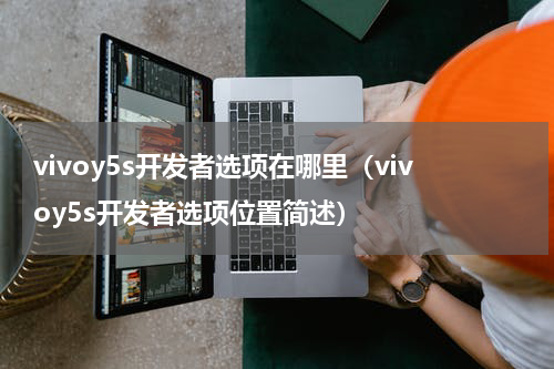 vivoy5s开发者选项在哪里（vivoy5s开发者选项位置简述）