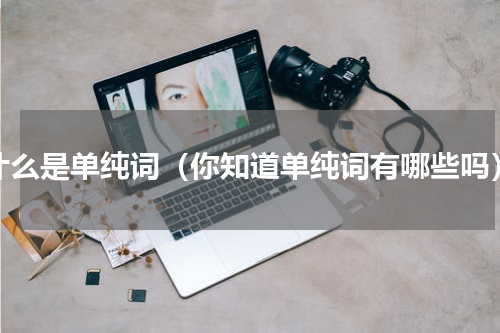什么是单纯词（你知道单纯词有哪些吗）