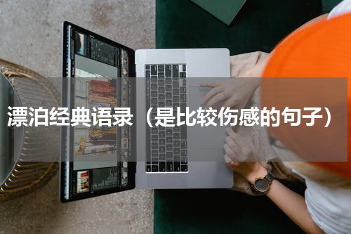 漂泊经典语录（是比较伤感的句子）