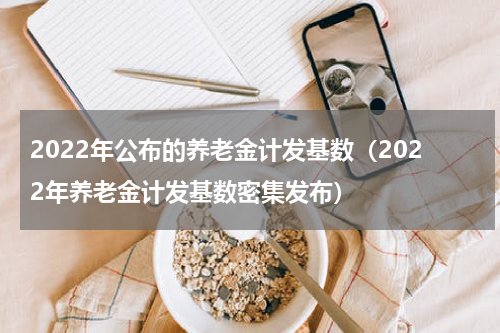 2022年公布的养老金计发基数（2022年养老金计发基数密集发布）