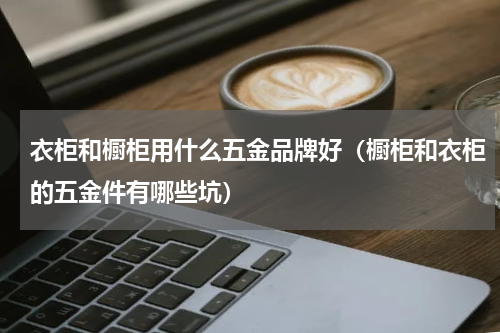 衣柜和橱柜用什么五金品牌好（橱柜和衣柜的五金件有哪些坑）