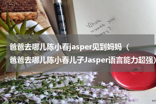爸爸去哪儿陈小春jasper见到妈妈（爸爸去哪儿陈小春儿子Jasper语言能力超强）