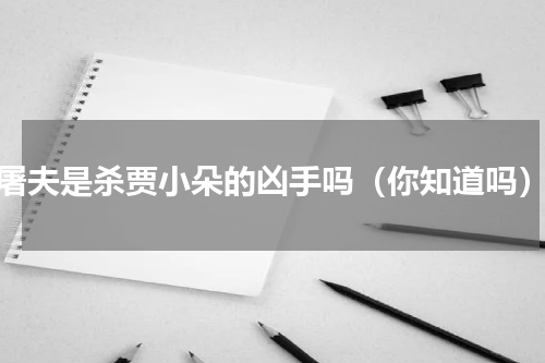 屠夫是杀贾小朵的凶手吗（你知道吗）