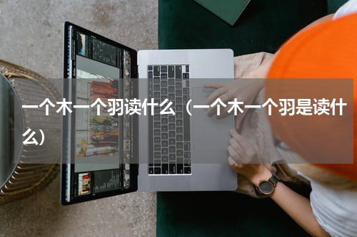 一个木一个羽读什么（一个木一个羽是读什么）
