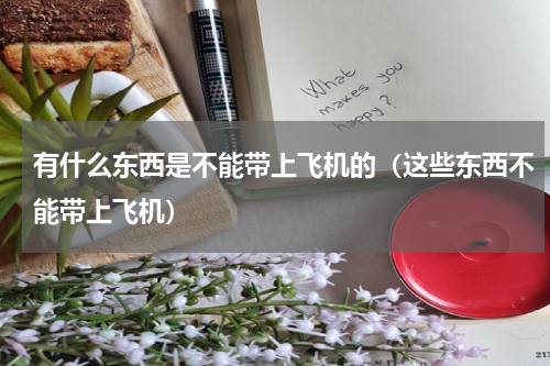 有什么东西是不能带上飞机的（这些东西不能带上飞机）