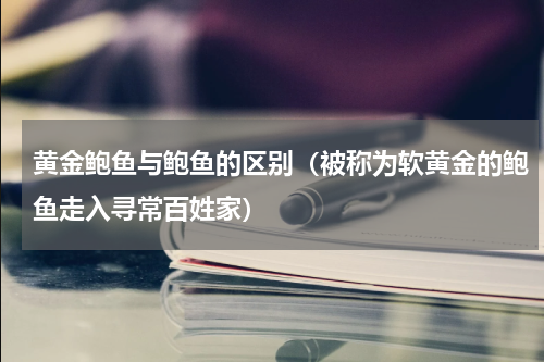 黄金鲍鱼与鲍鱼的区别（被称为软黄金的鲍鱼走入寻常百姓家）