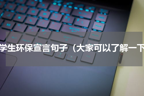 小学生环保宣言句子（大家可以了解一下）