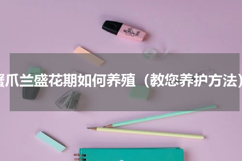 蟹爪兰盛花期如何养殖（教您养护方法）
