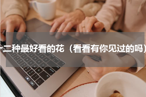 十二种最好看的花（看看有你见过的吗）