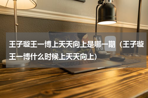 王子璇王一博上天天向上是哪一期（王子璇王一博什么时候上天天向上）