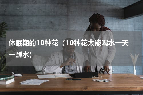 休眠期的10种花（10种花太能喝水一天一瓢水）