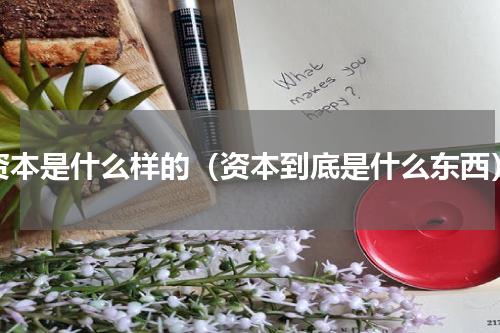 资本是什么样的（资本到底是什么东西）