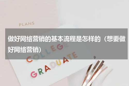 做好网络营销的基本流程是怎样的（想要做好网络营销）