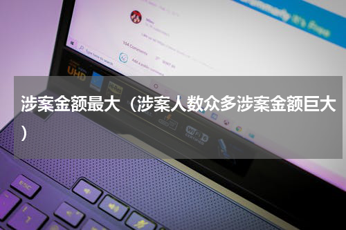 涉案金额最大（涉案人数众多涉案金额巨大）