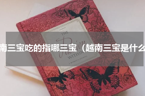 越南三宝吃的指哪三宝（越南三宝是什么）