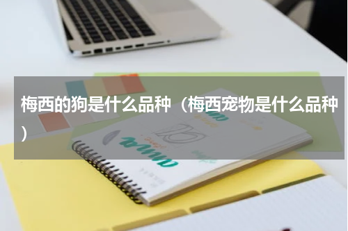 梅西的狗是什么品种（梅西宠物是什么品种）