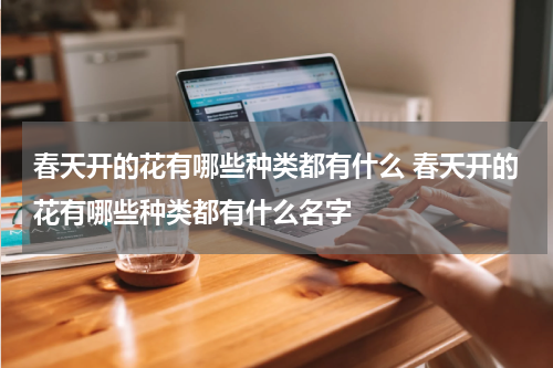 春天开的花有哪些种类都有什么 春天开的花有哪些种类都有什么名字
