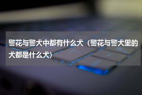 警花与警犬中都有什么犬（警花与警犬里的犬都是什么犬）