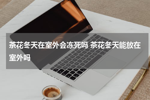 茶花冬天在室外会冻死吗 茶花冬天能放在室外吗