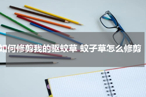 如何修剪我的驱蚊草 蚊子草怎么修剪
