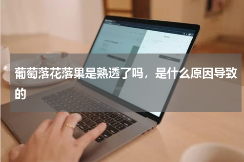 葡萄落花落果是熟透了吗，是什么原因导致的