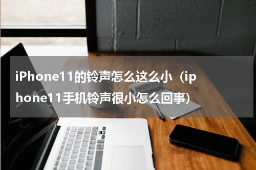 iPhone11的铃声怎么这么小（iphone11手机铃声很小怎么回事）