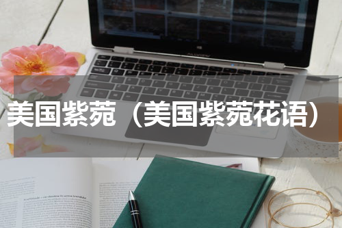 美国紫菀（美国紫菀花语）