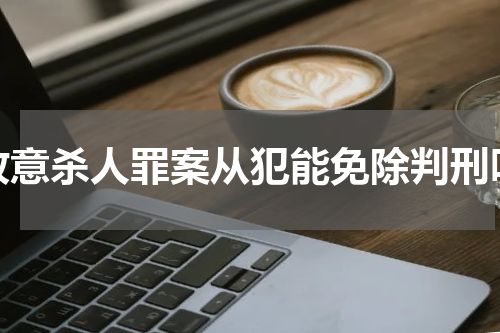 故意杀人罪案从犯能免除判刑吗