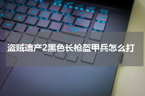 盗贼遗产2黑色长枪盔甲兵怎么打