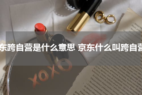 京东跨自营是什么意思 京东什么叫跨自营